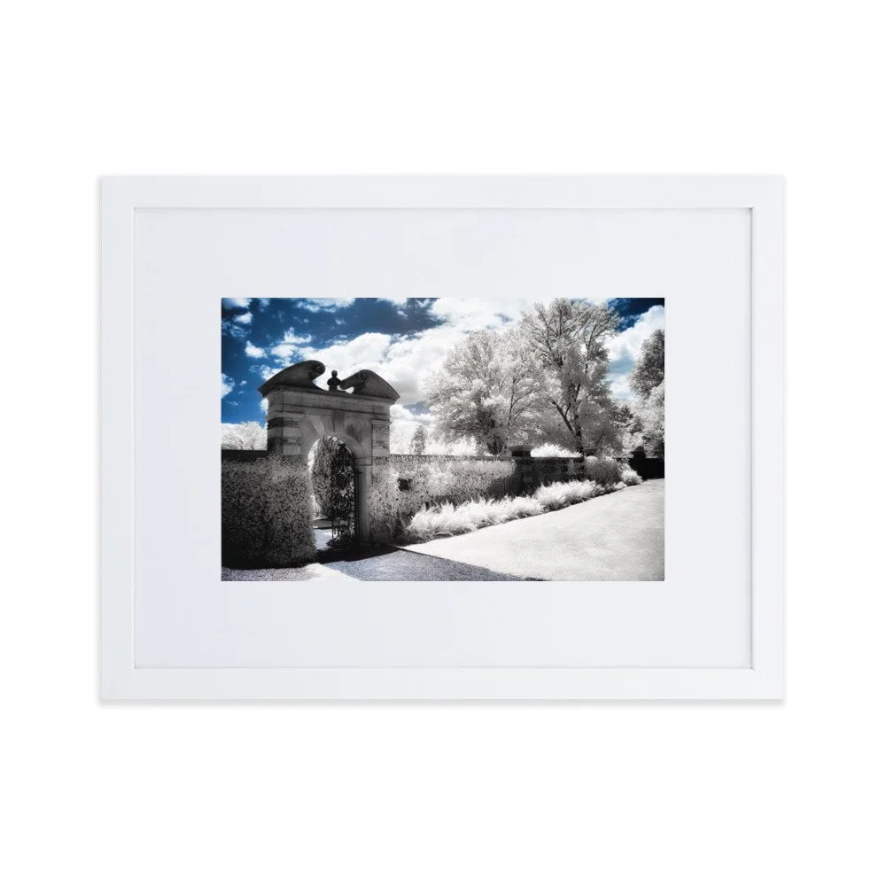 matte-paper-framed-poster-with-mat-(cm)-white-30x40-cm-transparent-652b5d904ccf6.jpg