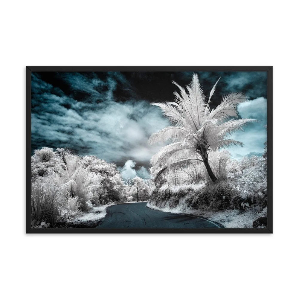 enhanced-matte-paper-framed-poster-(in)-black-24x36-transparent-652b60fc15c0f.jpg