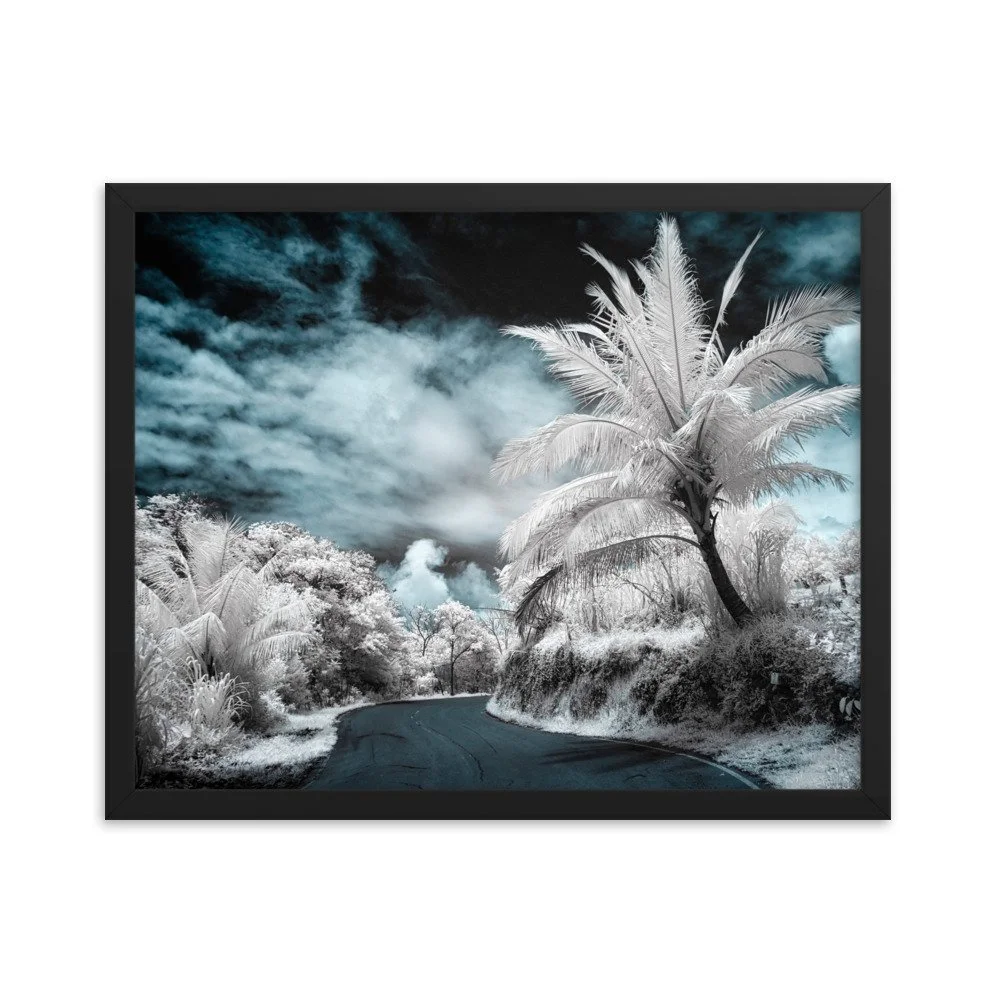 enhanced-matte-paper-framed-poster-(in)-black-16x20-transparent-652b60fc1683f.jpg