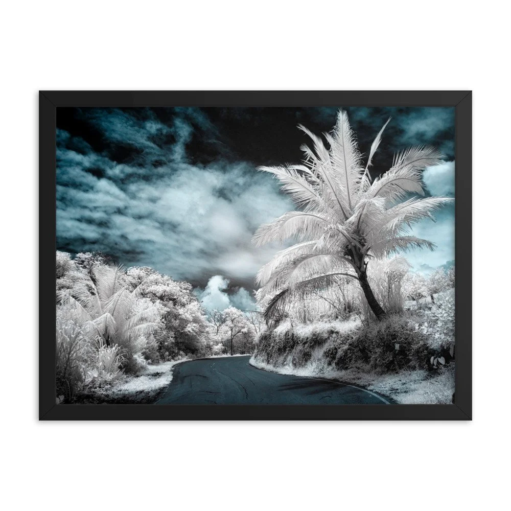 enhanced-matte-paper-framed-poster-(in)-black-18x24-transparent-652b60fc1689c.jpg