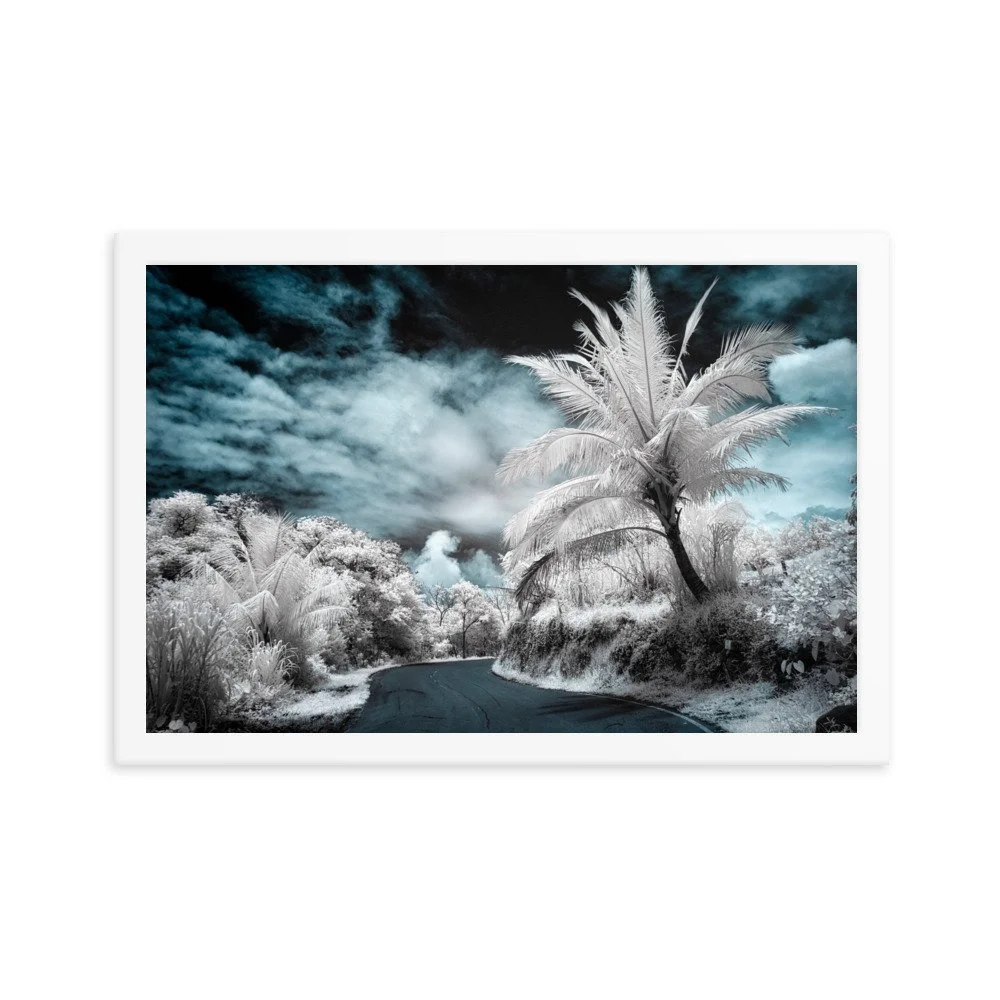 enhanced-matte-paper-framed-poster-(in)-white-12x18-transparent-652b60fc1691f.jpg