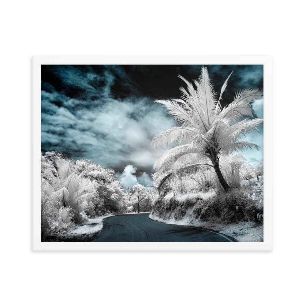 enhanced-matte-paper-framed-poster-(in)-white-16x20-transparent-652b60fc16973.jpg
