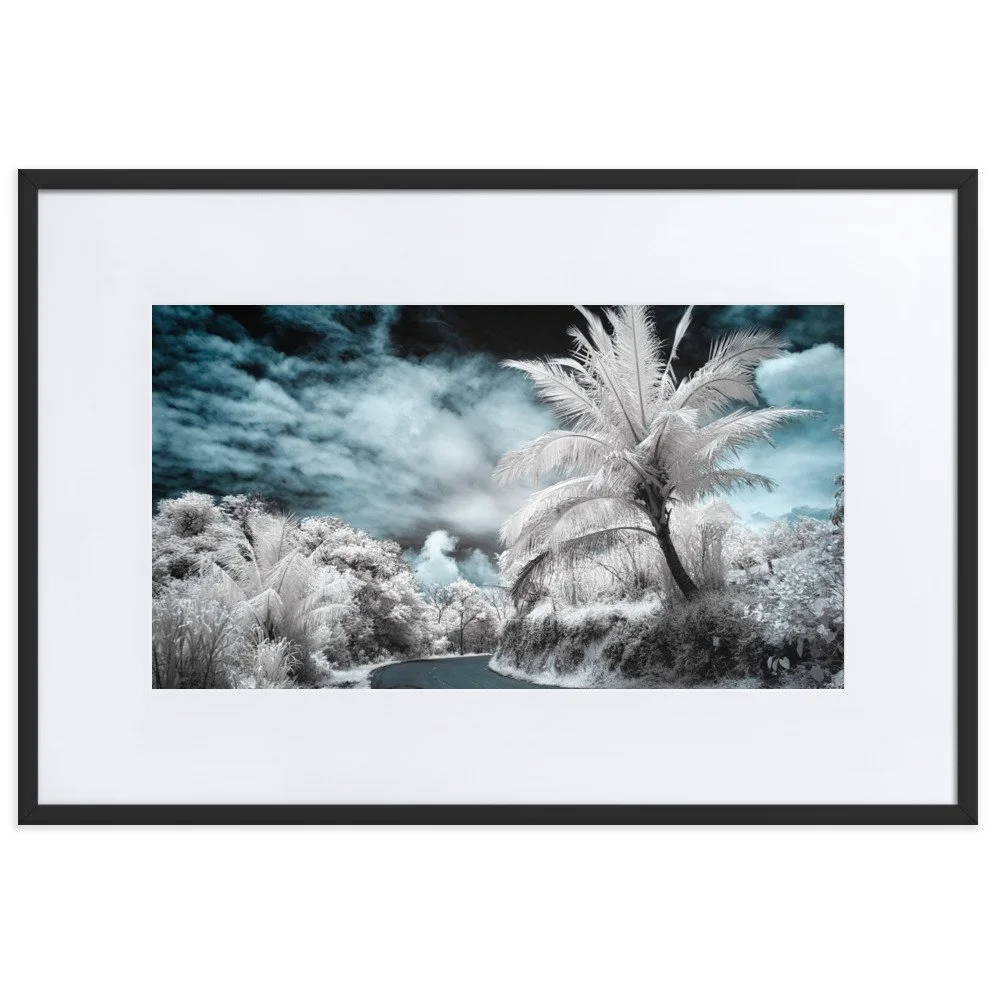 matte-paper-framed-poster-with-mat-(cm)-black-61x91-cm-transparent-652b62dfe23b5.jpg