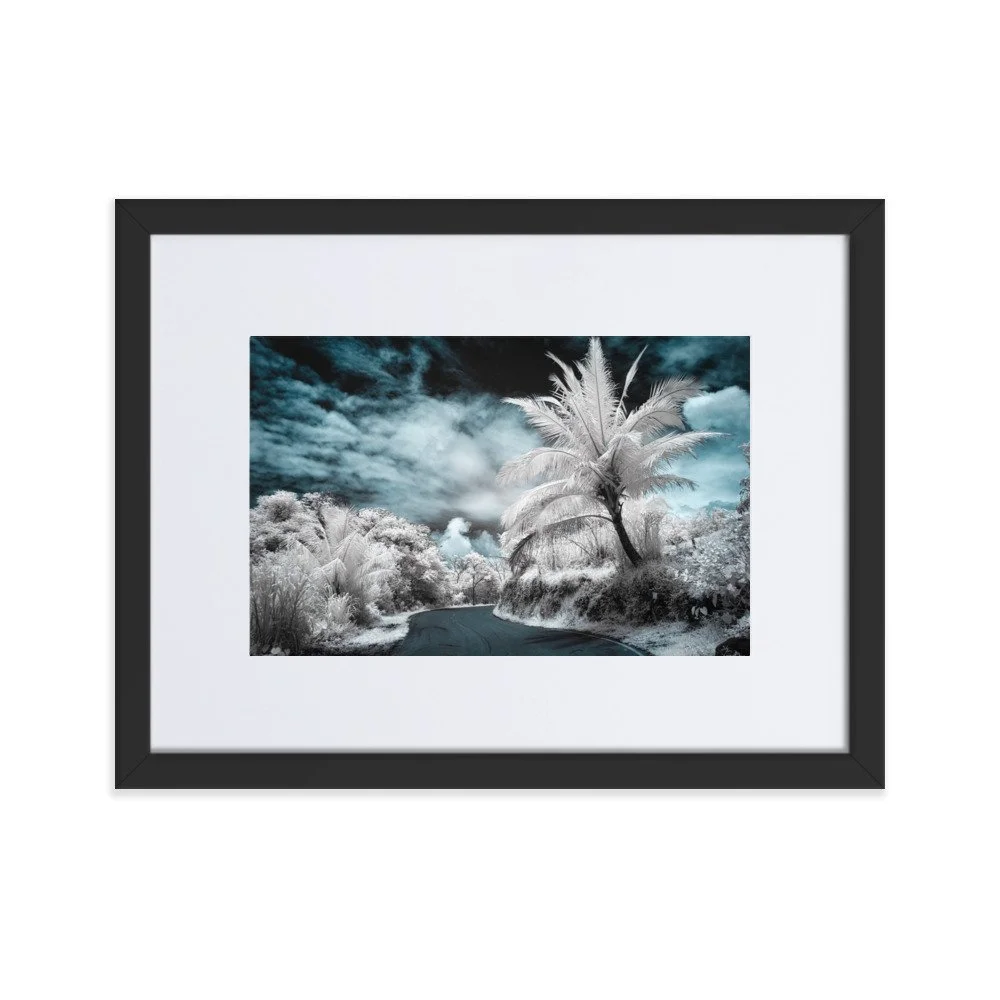 matte-paper-framed-poster-with-mat-(cm)-black-30x40-cm-transparent-652b62dfe37d9.jpg