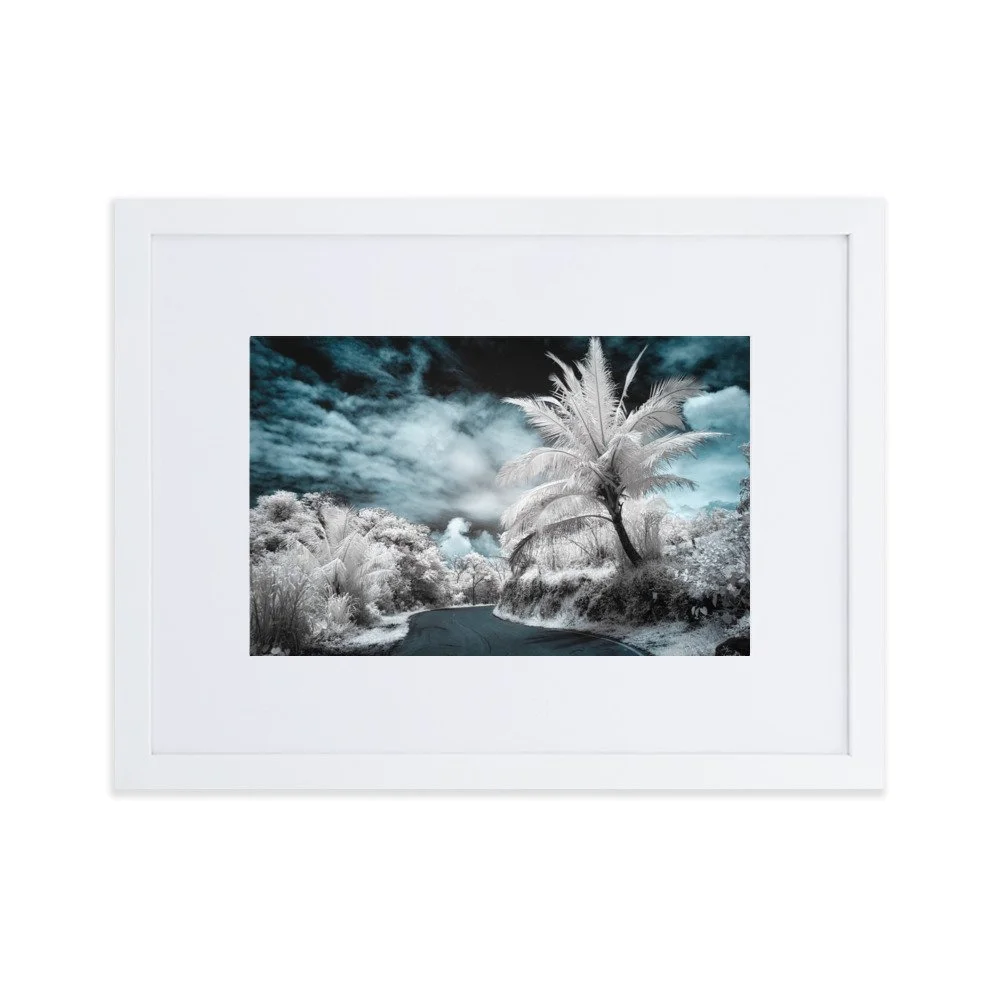 matte-paper-framed-poster-with-mat-(cm)-white-30x40-cm-transparent-652b62dfe38d5.jpg