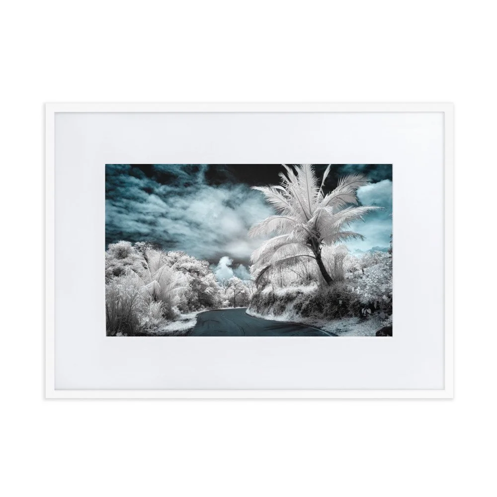 matte-paper-framed-poster-with-mat-(cm)-white-50x70-cm-transparent-652b62dfe3924.jpg