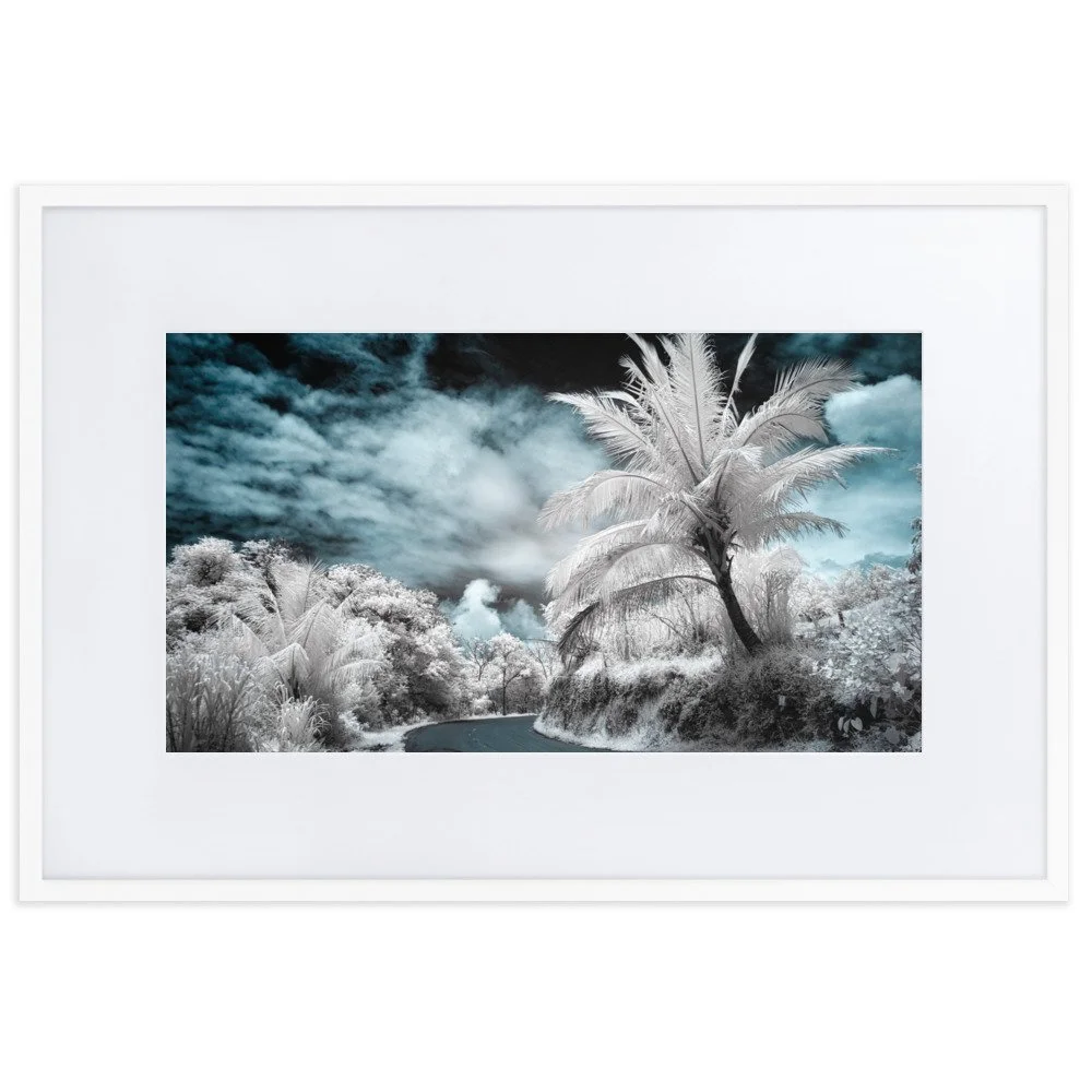 matte-paper-framed-poster-with-mat-(cm)-white-61x91-cm-transparent-652b62dfe3973.jpg
