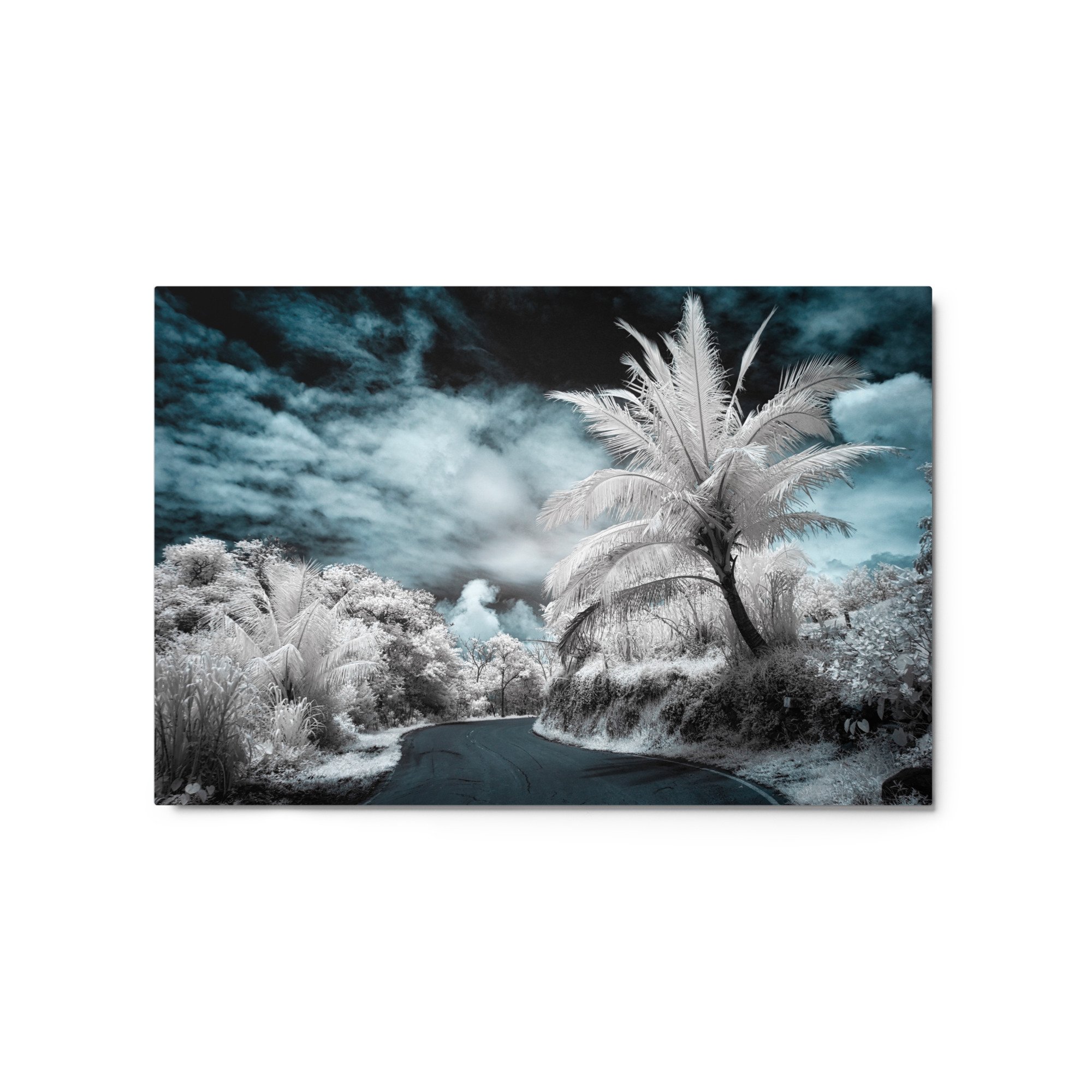 glossy-metal-print-(in)-white-20x30-front-652b643c49783.jpg