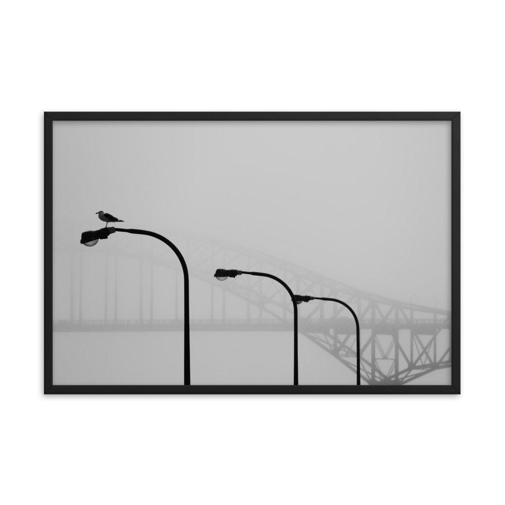 enhanced-matte-paper-framed-poster-(in)-black-24x36-transparent-65309c4784f85.jpg