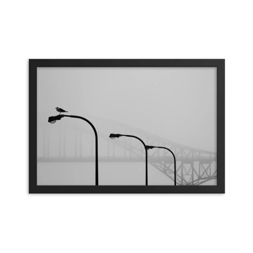 enhanced-matte-paper-framed-poster-(in)-black-12x18-transparent-65309c4785c31.jpg