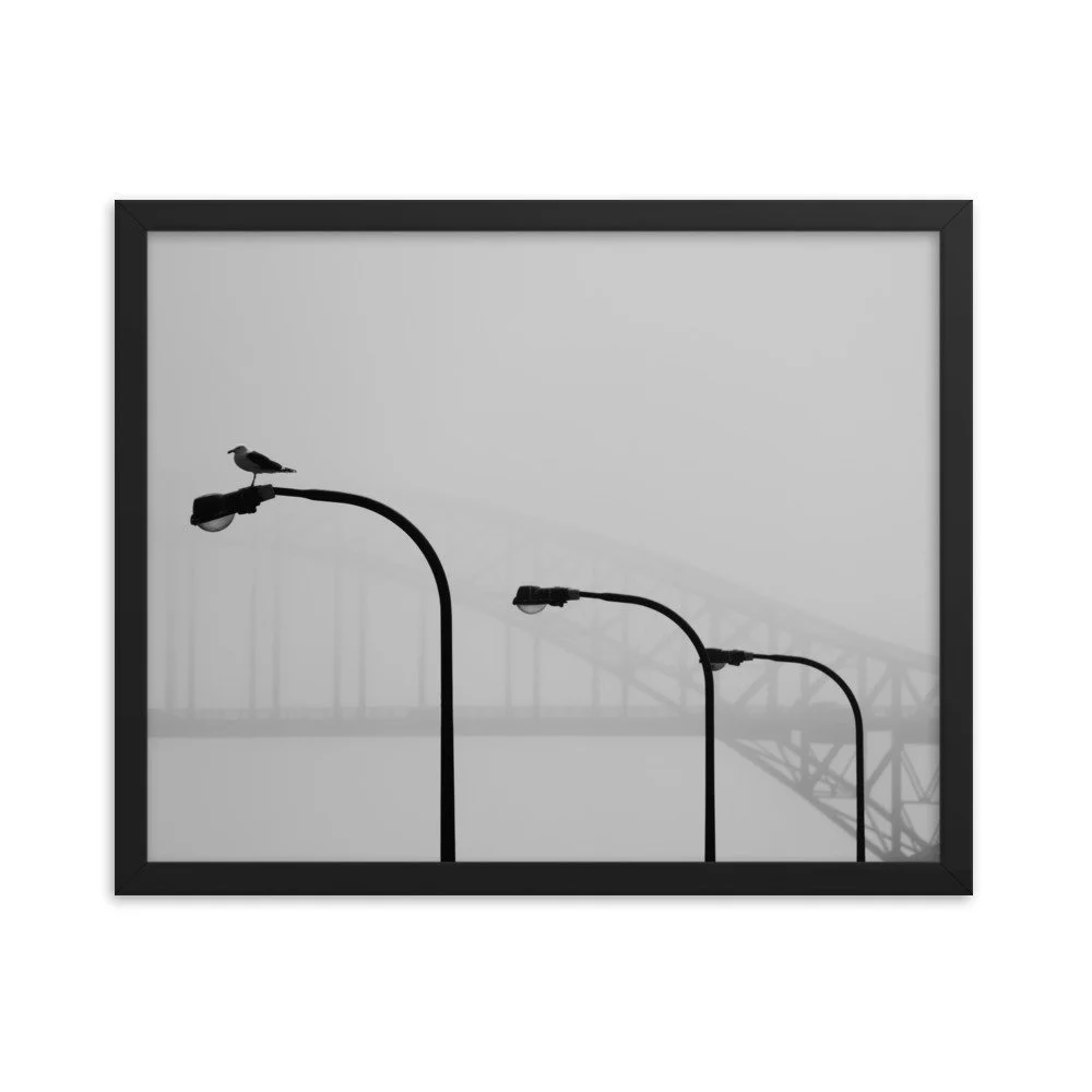 enhanced-matte-paper-framed-poster-(in)-black-16x20-transparent-65309c4785cf4.jpg