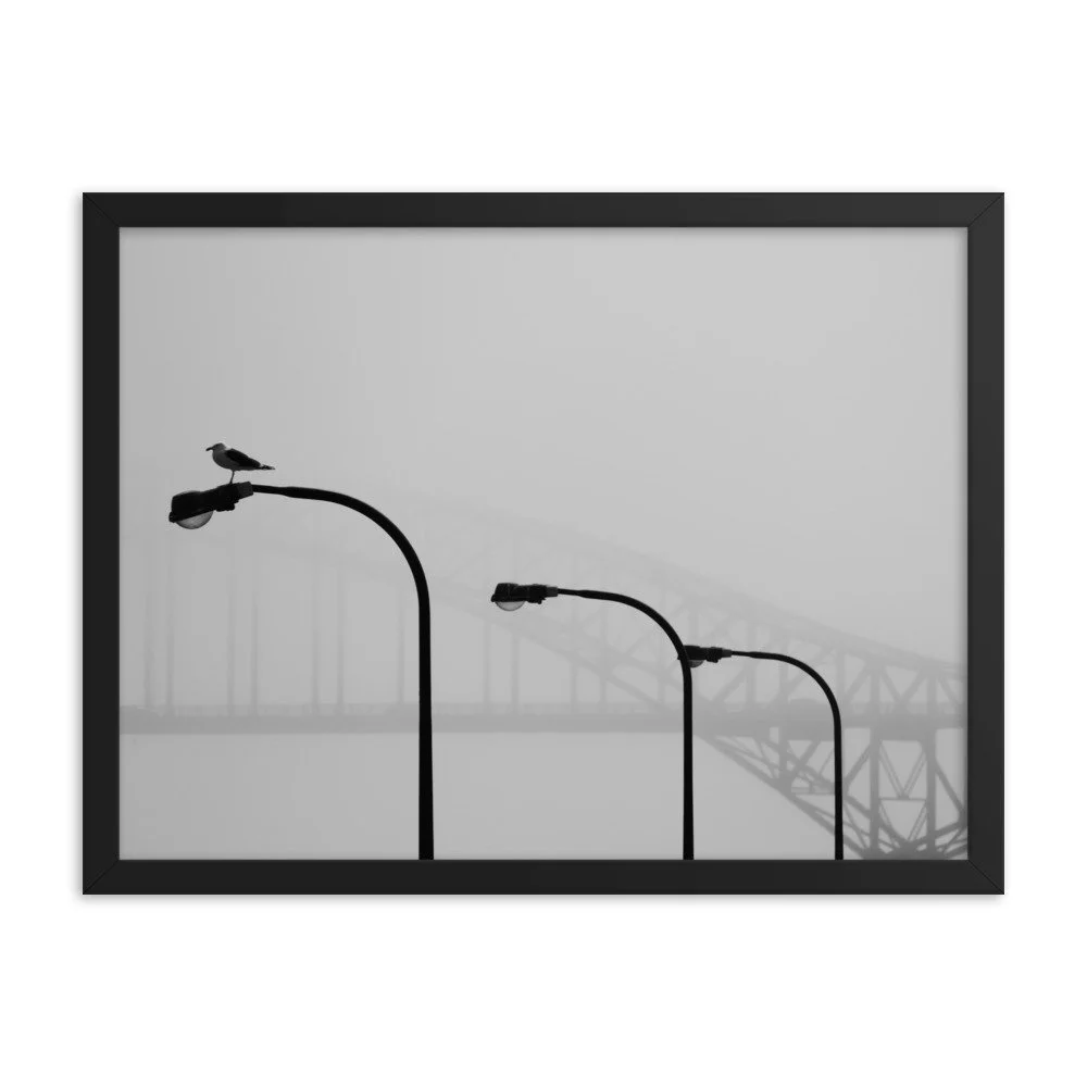 enhanced-matte-paper-framed-poster-(in)-black-18x24-transparent-65309c4785d92.jpg