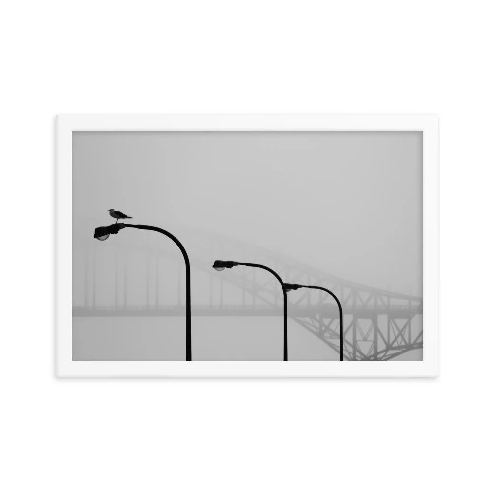 enhanced-matte-paper-framed-poster-(in)-white-12x18-transparent-65309c4785e69.jpg