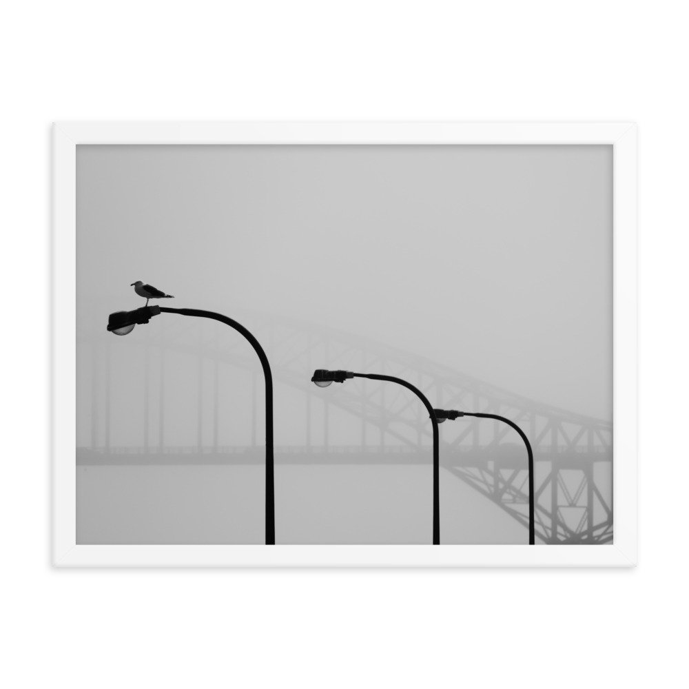 enhanced-matte-paper-framed-poster-(in)-white-18x24-transparent-65309c4785f7e.jpg