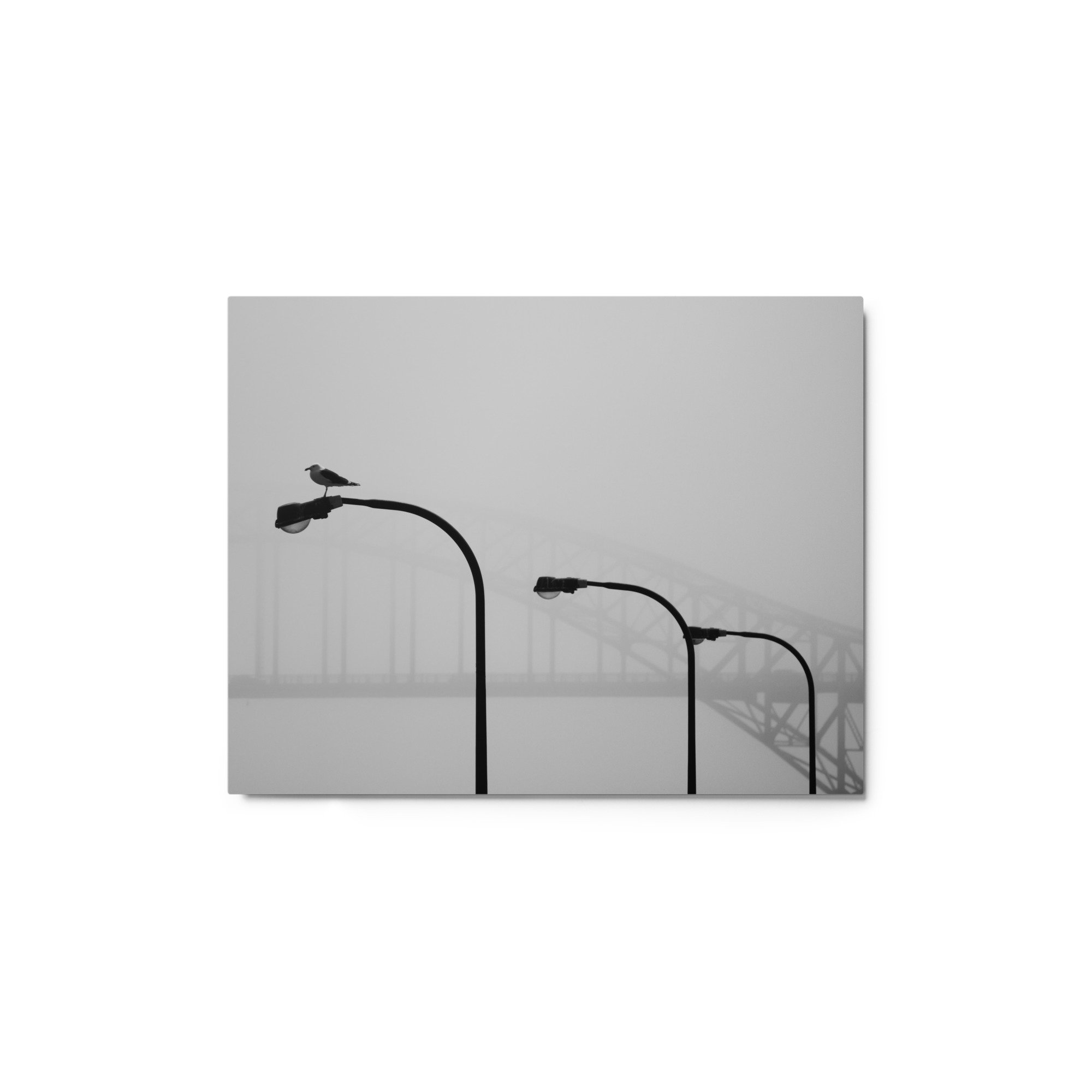 glossy-metal-print-(in)-white-11x14-front-65309de52bba1.jpg