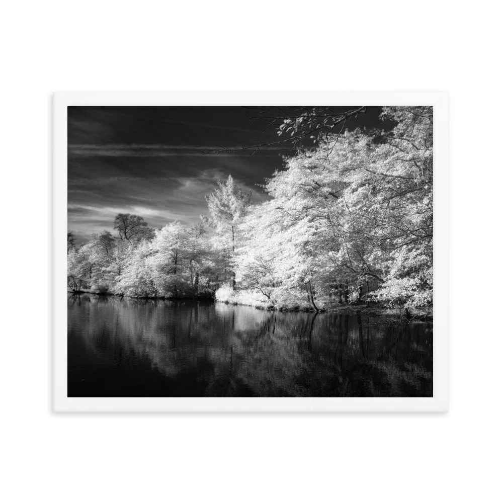 enhanced-matte-paper-framed-poster-(in)-white-16x20-transparent-6531e95971a5f.jpg