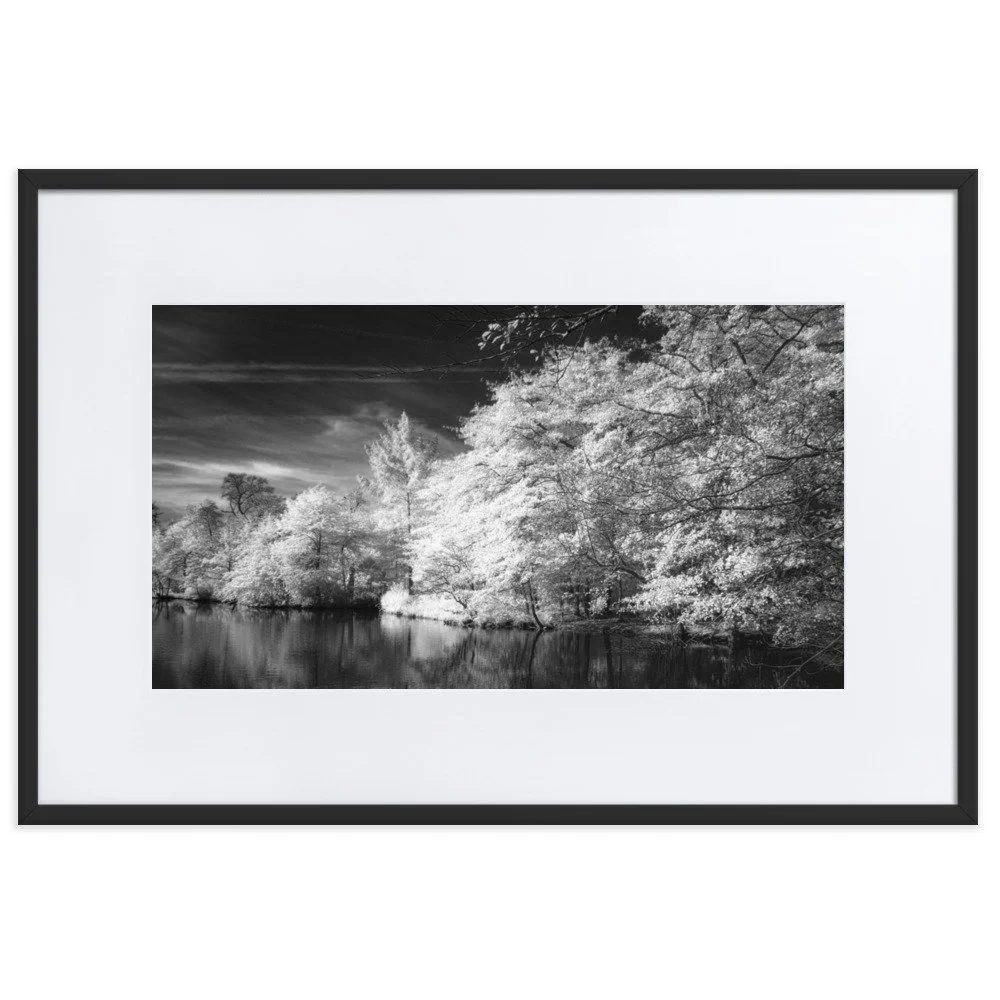 matte-paper-framed-poster-with-mat-(cm)-black-61x91-cm-transparent-6531eadd1a682.jpg