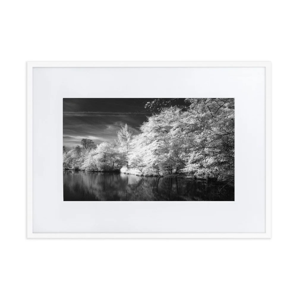 matte-paper-framed-poster-with-mat-(cm)-white-50x70-cm-transparent-6531eadd1b826.jpg