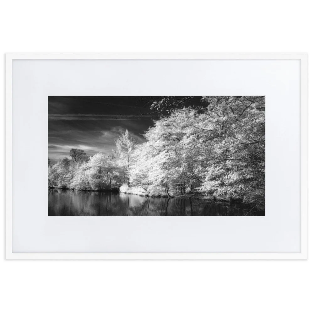 matte-paper-framed-poster-with-mat-(cm)-white-61x91-cm-transparent-6531eadd1b870.jpg
