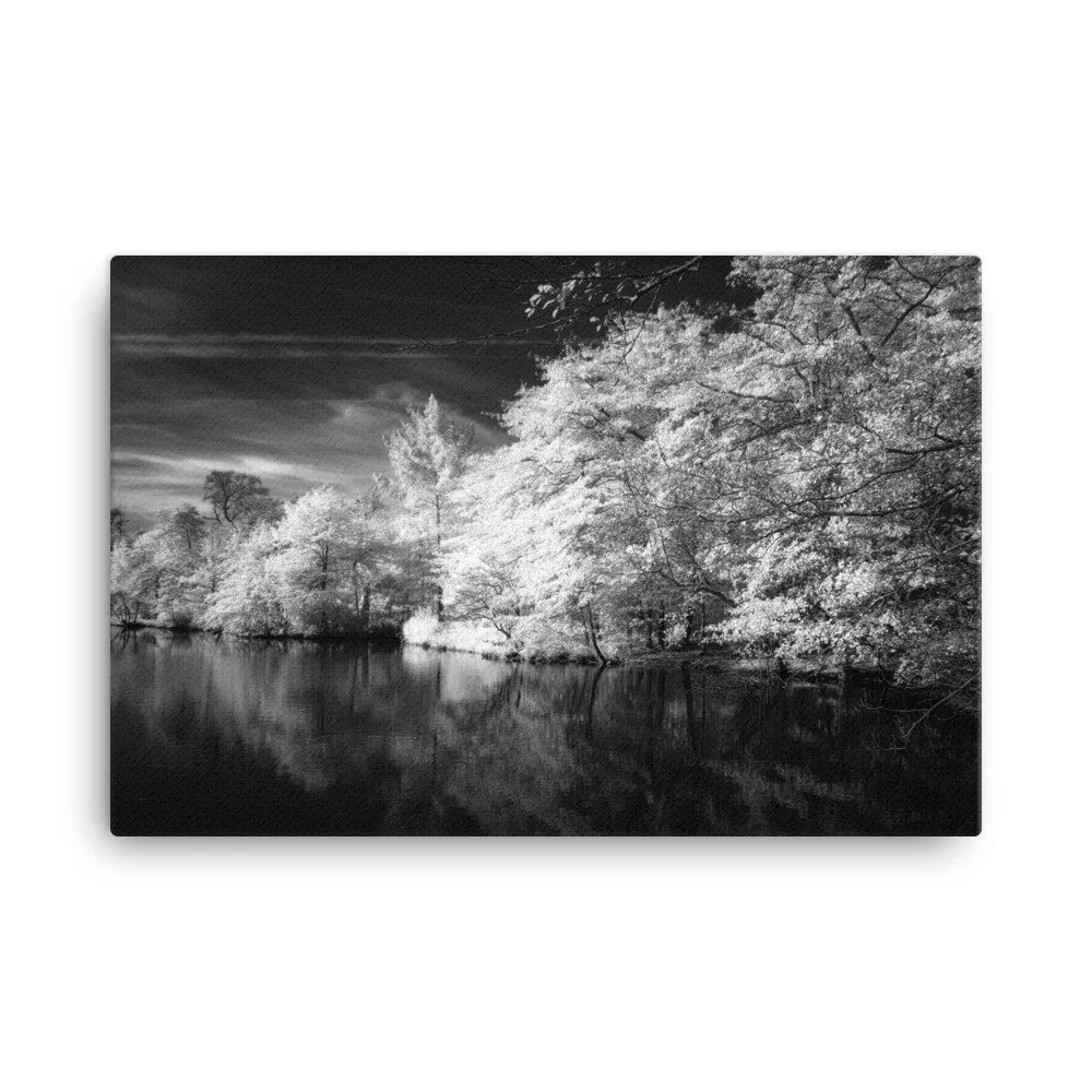 canvas-(in)-24x36-wall-6531ebe7dec3a.jpg