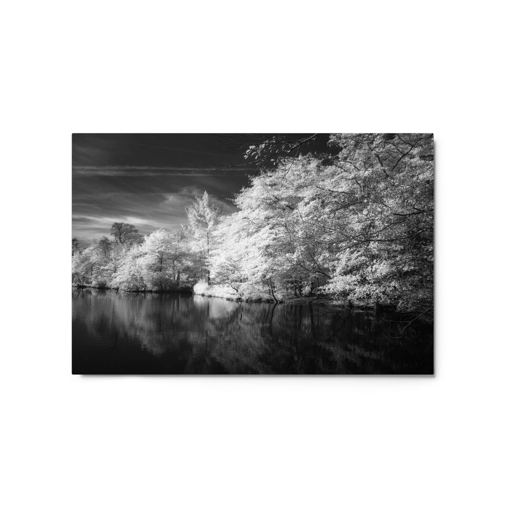 glossy-metal-print-(in)-white-20x30-front-6531ec7300cab.jpg