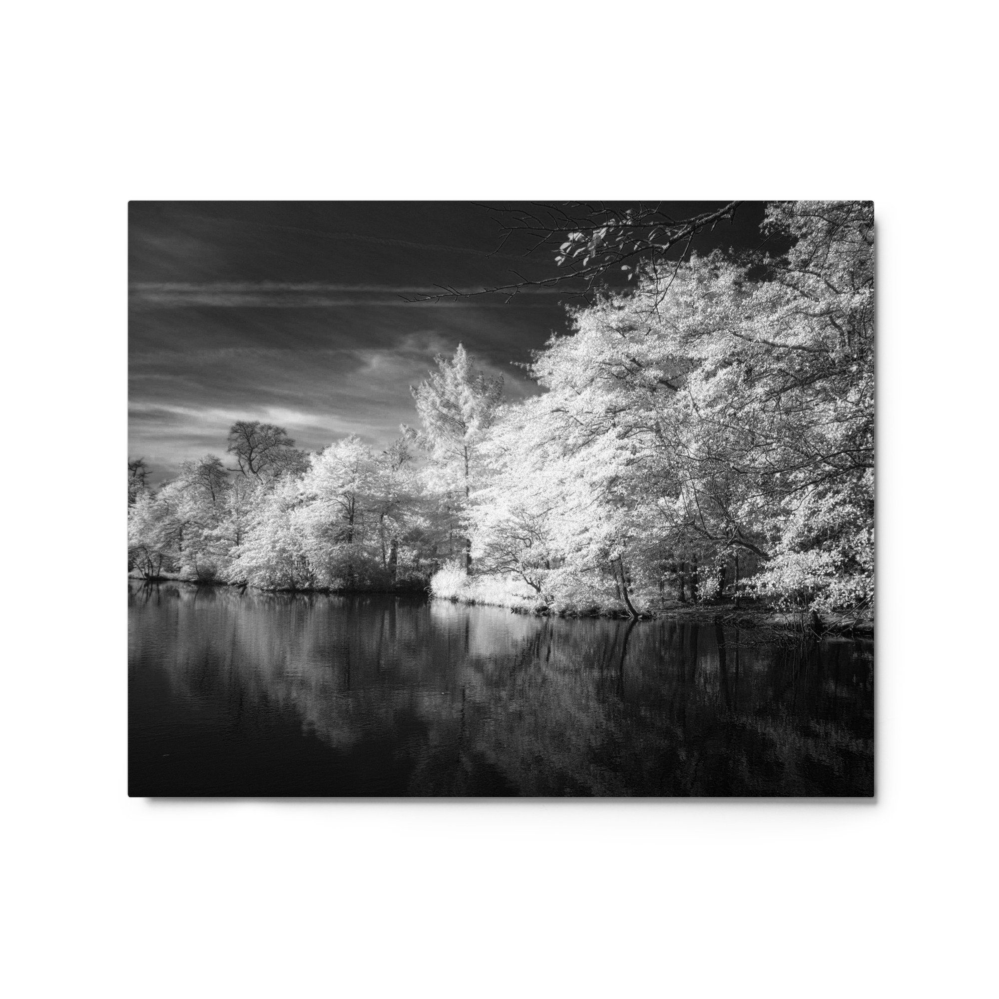 glossy-metal-print-(in)-white-16x20-front-6531ec73026cb.jpg