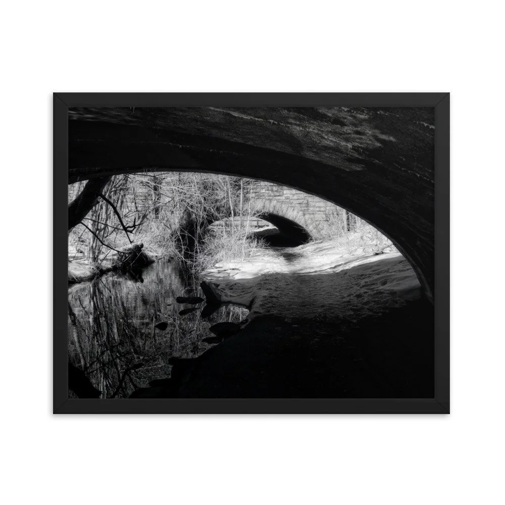 enhanced-matte-paper-framed-poster-(in)-black-16x20-transparent-6531f2129a7f3.jpg