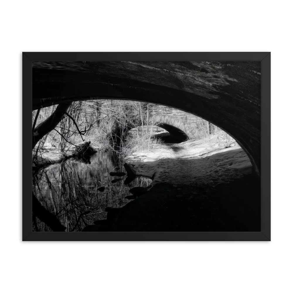 enhanced-matte-paper-framed-poster-(in)-black-18x24-transparent-6531f2129a853.jpg