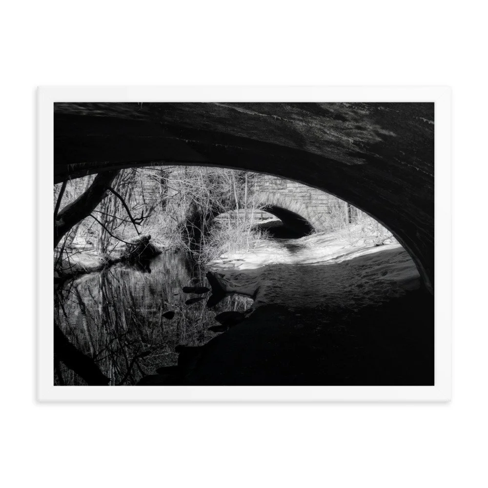 enhanced-matte-paper-framed-poster-(in)-white-18x24-transparent-6531f2129a981.jpg