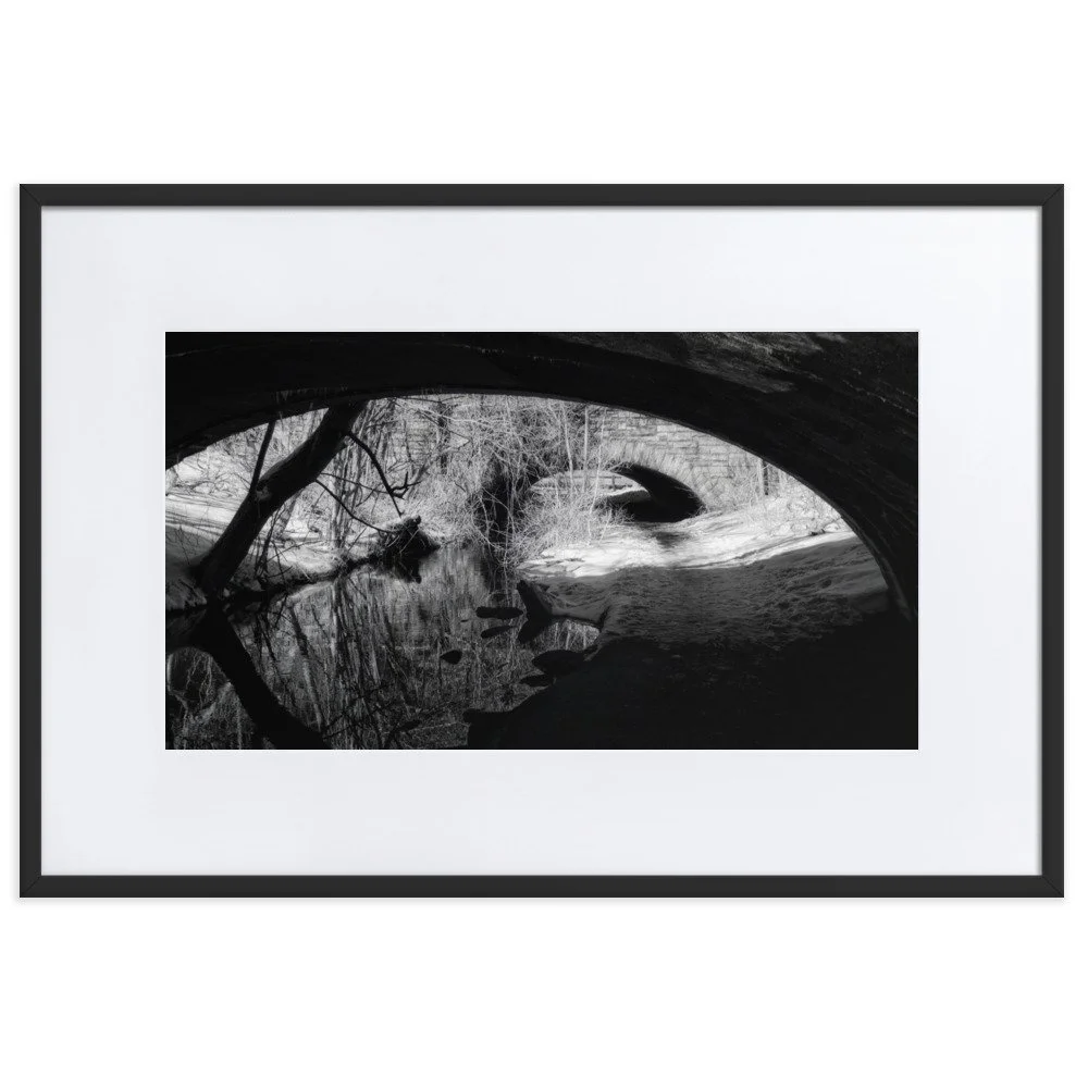 matte-paper-framed-poster-with-mat-(cm)-black-61x91-cm-transparent-6531f2ad5de98.jpg