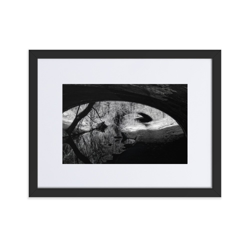 matte-paper-framed-poster-with-mat-(cm)-black-30x40-cm-transparent-6531f2ad5eab1.jpg