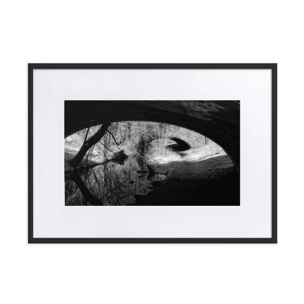 matte-paper-framed-poster-with-mat-(cm)-black-50x70-cm-transparent-6531f2ad5eb1e.jpg