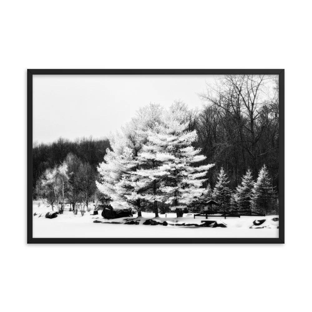 enhanced-matte-paper-framed-poster-(in)-black-24x36-transparent-6533d3ab8d626.jpg