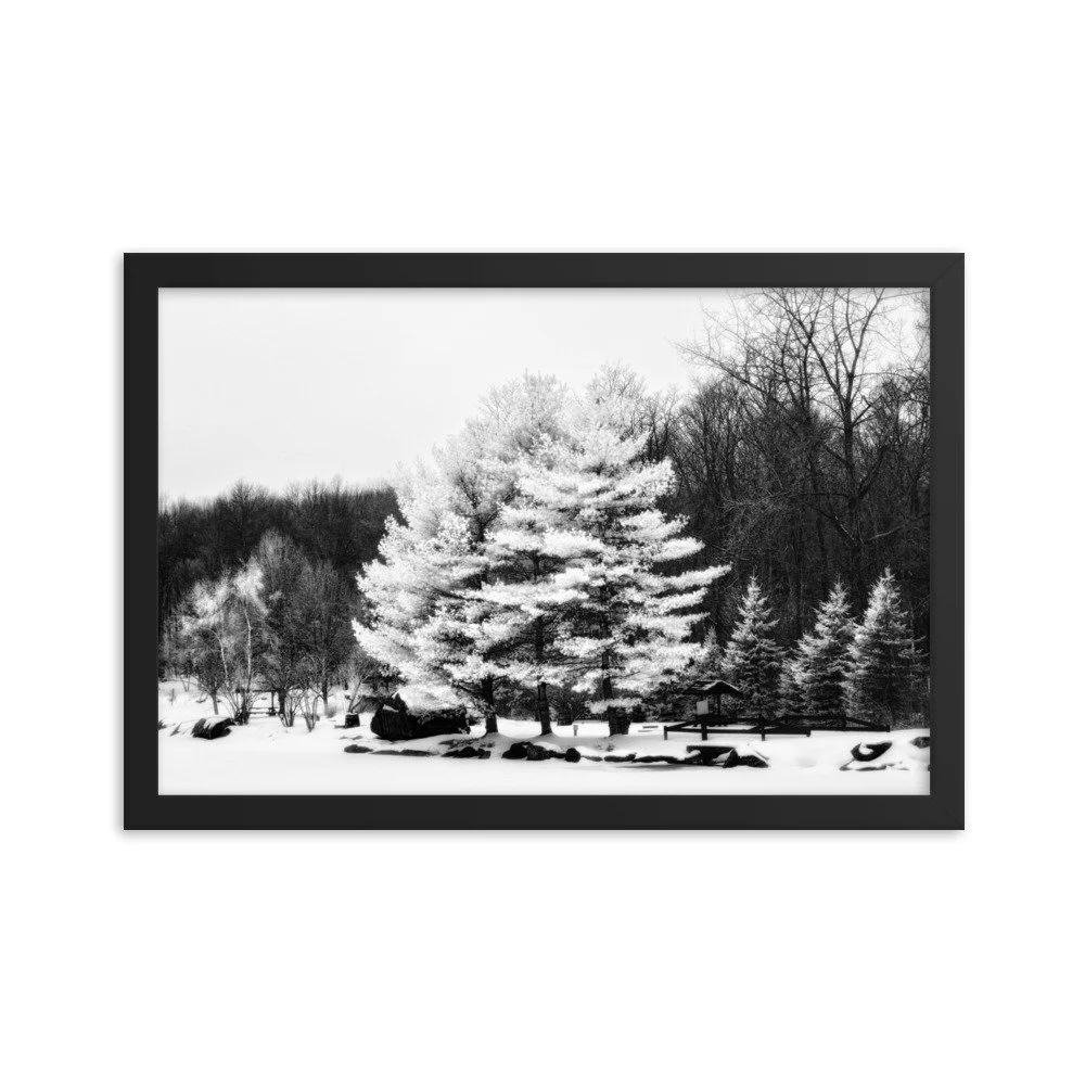 enhanced-matte-paper-framed-poster-(in)-black-12x18-transparent-6533d3ab8e5c5.jpg