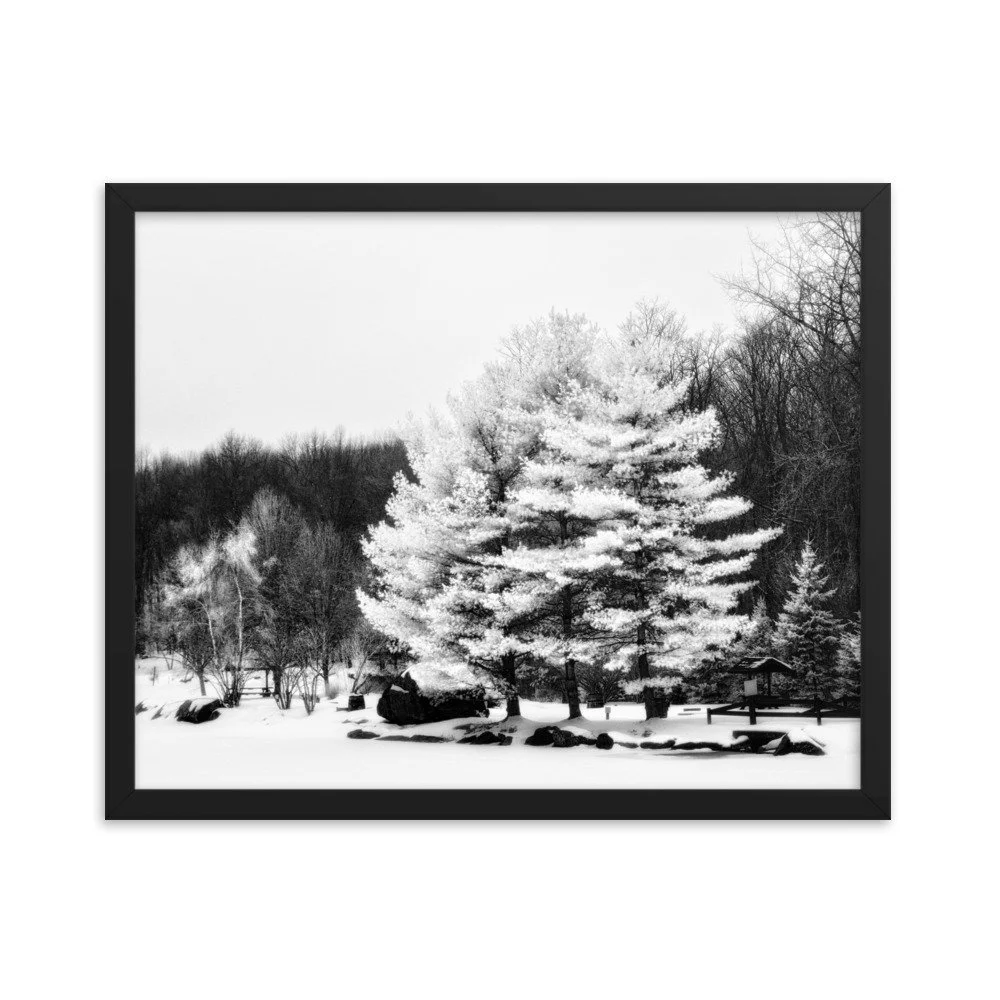 enhanced-matte-paper-framed-poster-(in)-black-16x20-transparent-6533d3ab8e66f.jpg