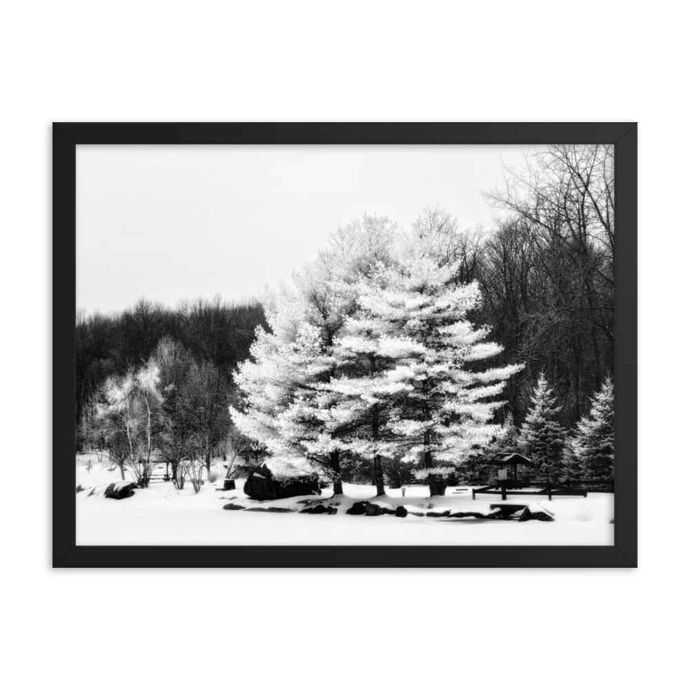 enhanced-matte-paper-framed-poster-(in)-black-18x24-transparent-6533d3ab8e712.jpg