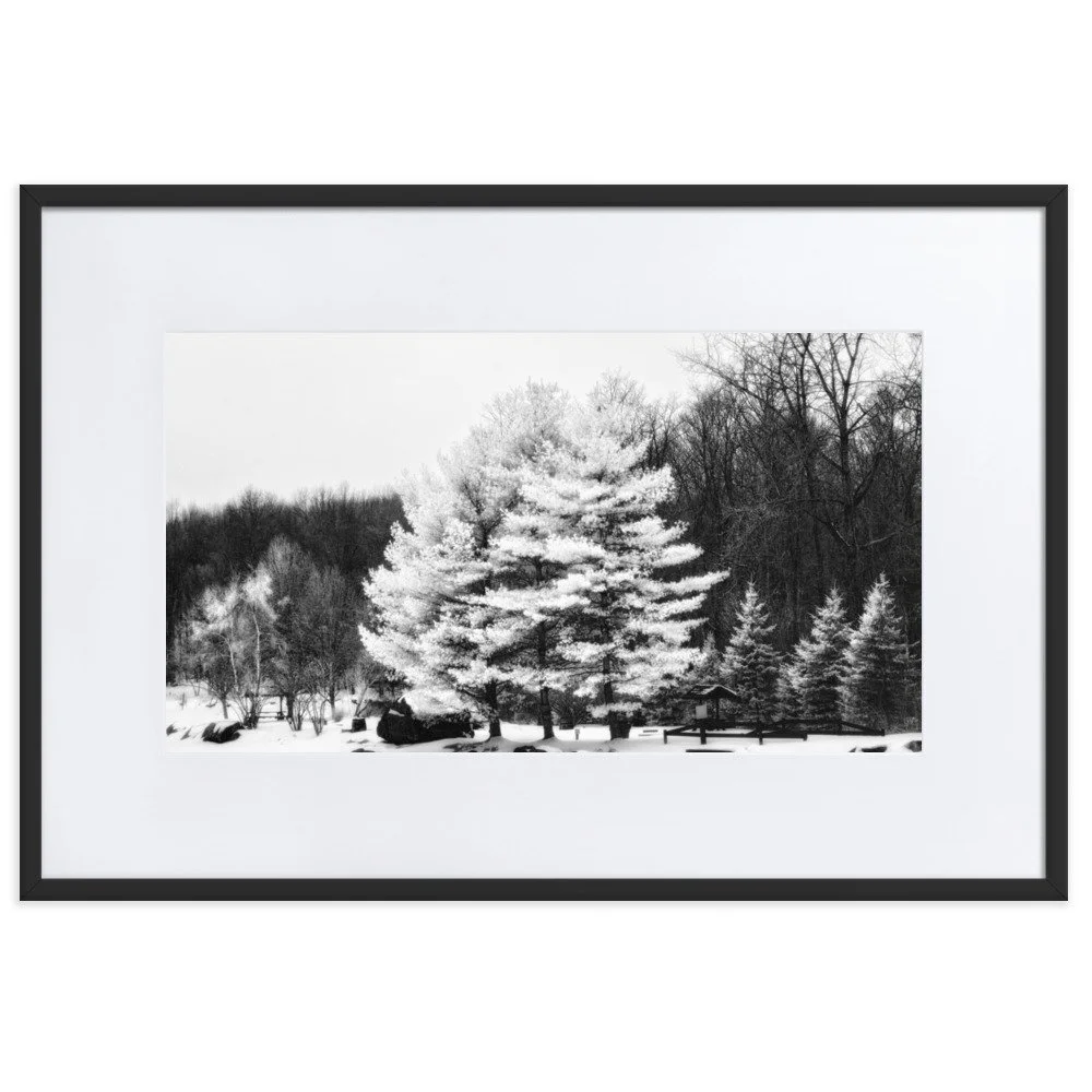 matte-paper-framed-poster-with-mat-(cm)-black-61x91-cm-transparent-6533d417c1cfb.jpg