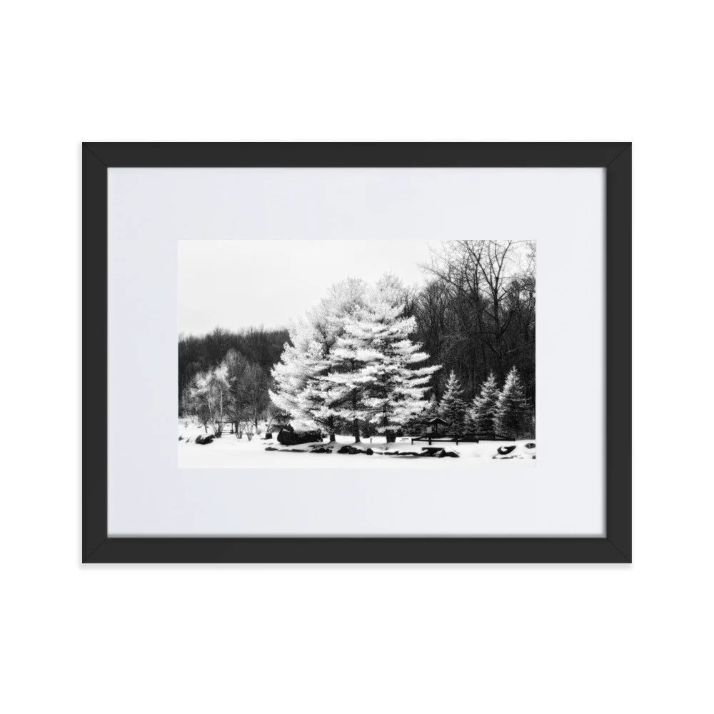 matte-paper-framed-poster-with-mat-(cm)-black-30x40-cm-transparent-6533d417c2f57.jpg