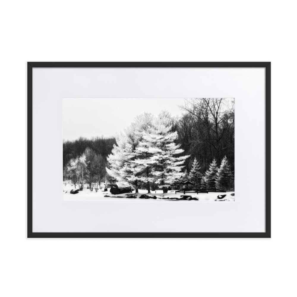 matte-paper-framed-poster-with-mat-(cm)-black-50x70-cm-transparent-6533d417c2fce.jpg