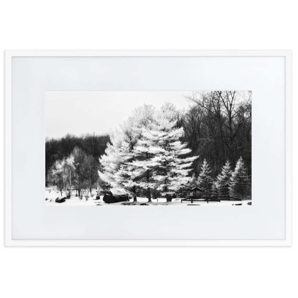 matte-paper-framed-poster-with-mat-(cm)-white-61x91-cm-transparent-6533d417c30d0.jpg