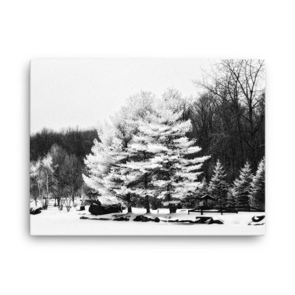 canvas-(in)-18x24-wall-6533d52b294ea.jpg
