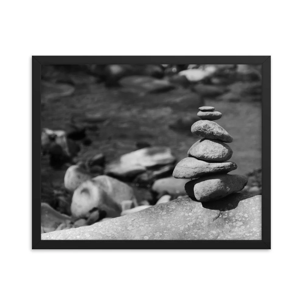 enhanced-matte-paper-framed-poster-(in)-black-16x20-transparent-653421f4a43bf.jpg
