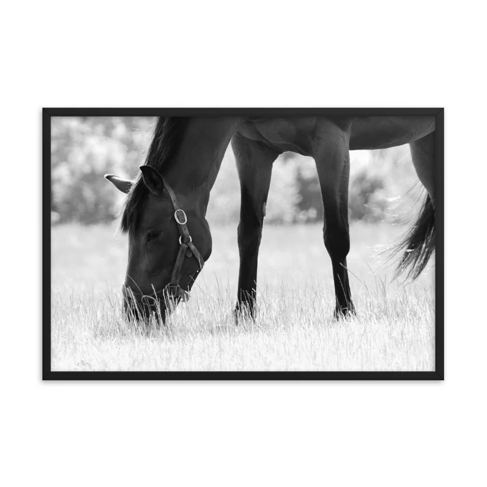 enhanced-matte-paper-framed-poster-(in)-black-24x36-transparent-65343c8dc87bf.jpg