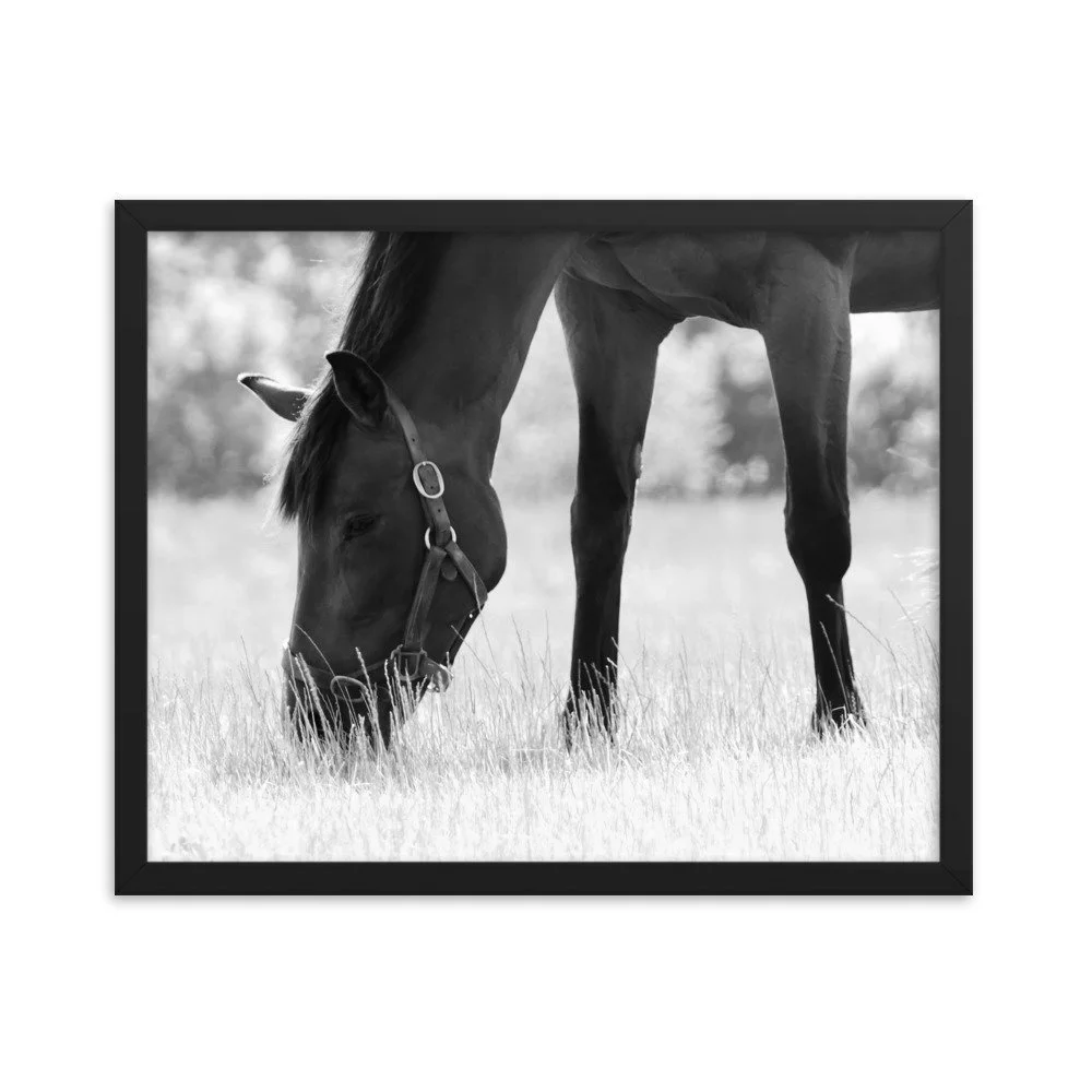 enhanced-matte-paper-framed-poster-(in)-black-16x20-transparent-65343c8dc976c.jpg