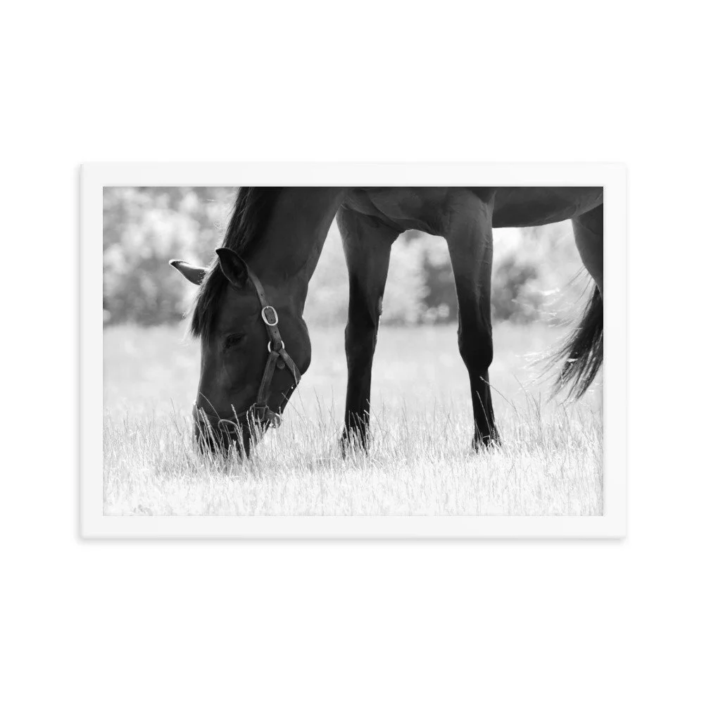 enhanced-matte-paper-framed-poster-(in)-white-12x18-transparent-65343c8dc9868.jpg