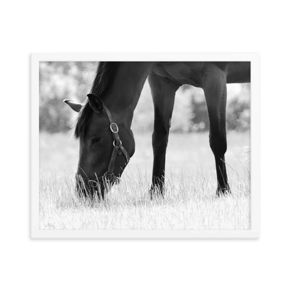 enhanced-matte-paper-framed-poster-(in)-white-16x20-transparent-65343c8dc98f7.jpg