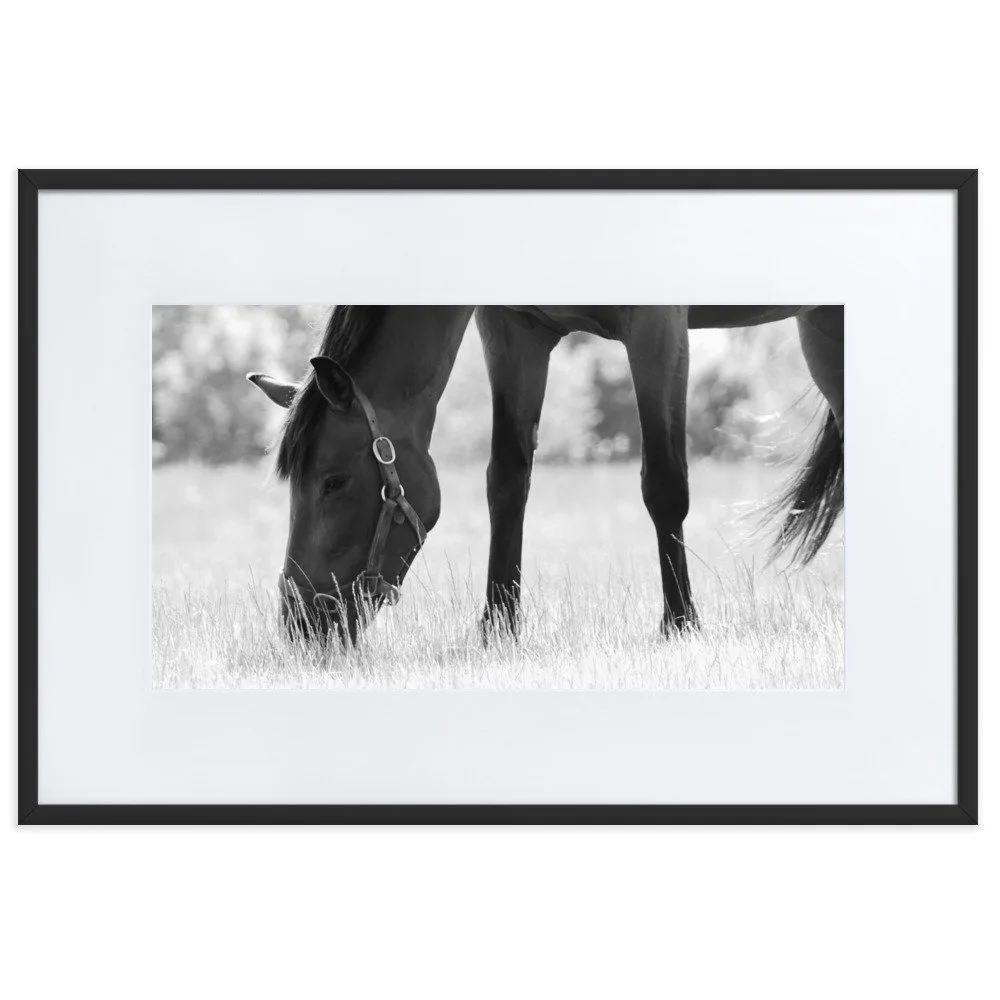 matte-paper-framed-poster-with-mat-(cm)-black-61x91-cm-transparent-65343d1a5785a.jpg