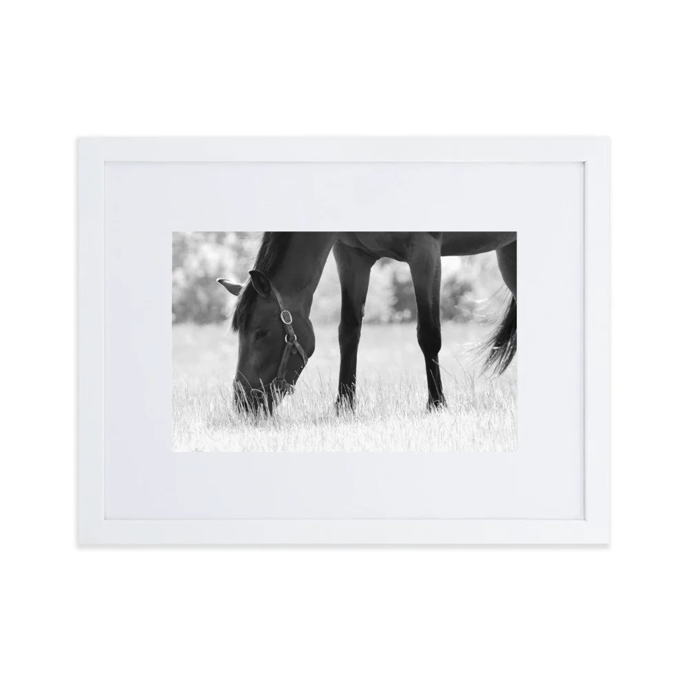 matte-paper-framed-poster-with-mat-(cm)-white-30x40-cm-transparent-65343d1a5853e.jpg