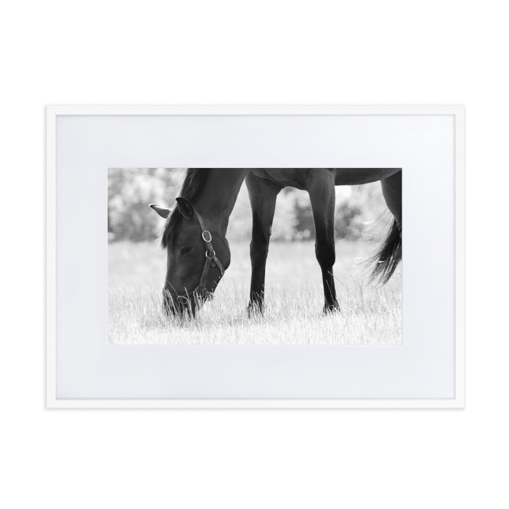 matte-paper-framed-poster-with-mat-(cm)-white-50x70-cm-transparent-65343d1a5858a.jpg