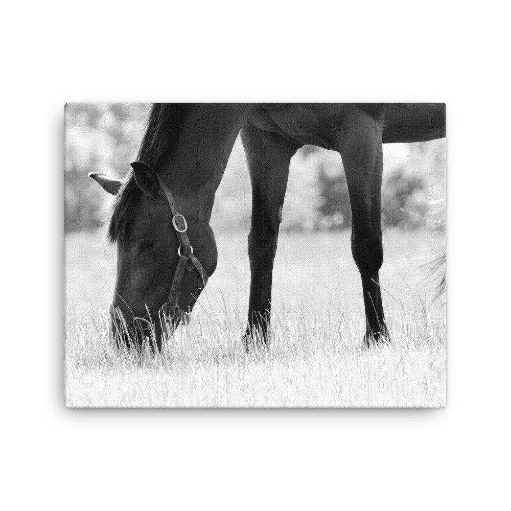 canvas-(in)-16x20-wall-65343ddbe1e44.jpg